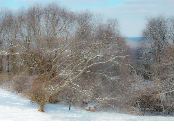 Snowy Hill