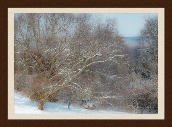 Snowy Hill picture