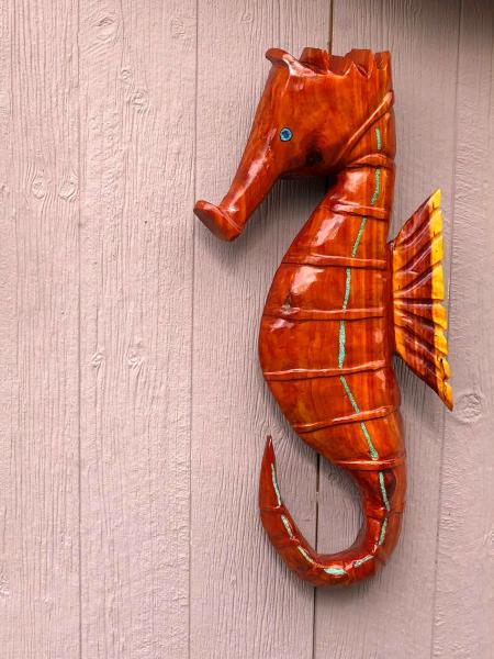 Florida Seahorse picture