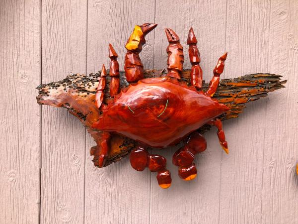 Cedar Crab