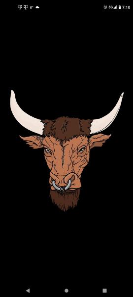 The Bearded Bull Forge