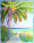 Coconut Palm Shores 8