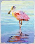 Roseate Spoonbill