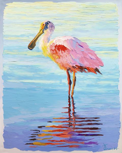 Roseate Spoonbill picture