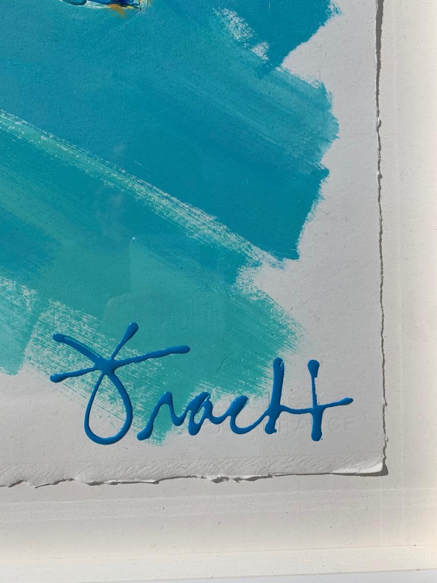 Dolphin Shores picture