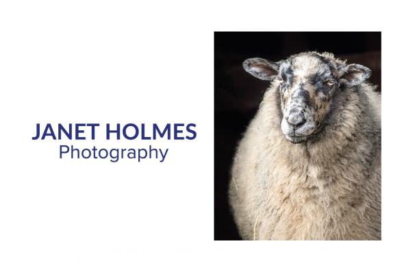 Janet Holmes Photography