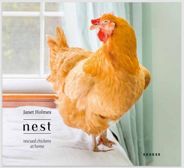 Nest: Rescued Chickens at Home