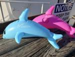 Dolphin (Pink or Blue)