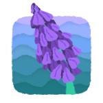 Lavender Games Studio