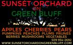 Sunset Orchard on Green Bluff