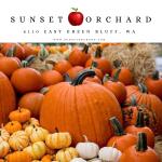 Sunset Orchard on Green Bluff