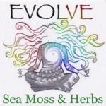 Evolve Sea Moss & Herbs