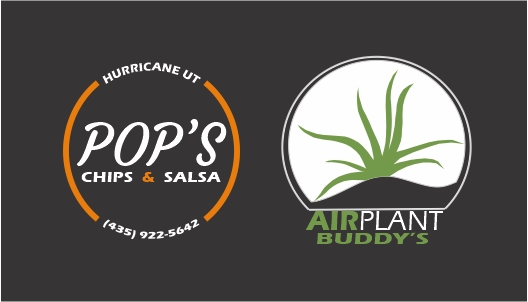 POPS CHIPS AND SALSA & AIR PLANT BUDDYS