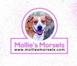 Mollies Morsels Dog Treats