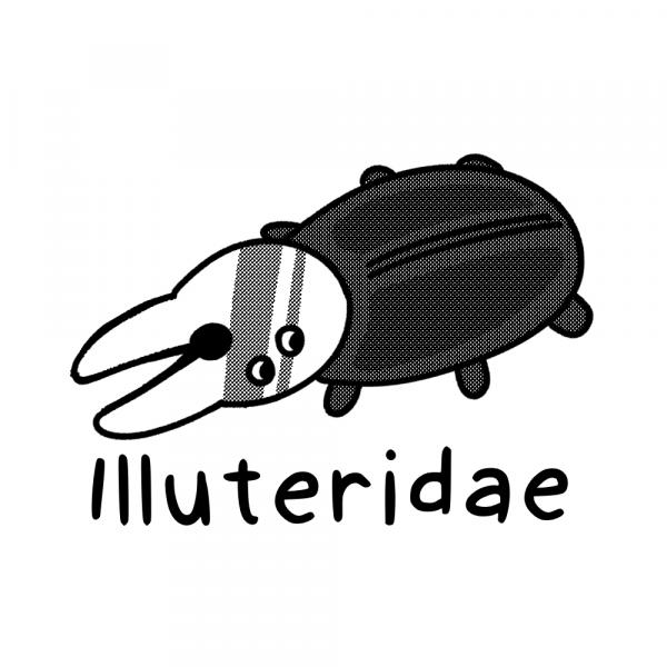 Illuteridae