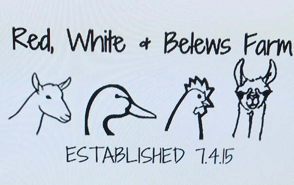 Red, White, & Belews Farm