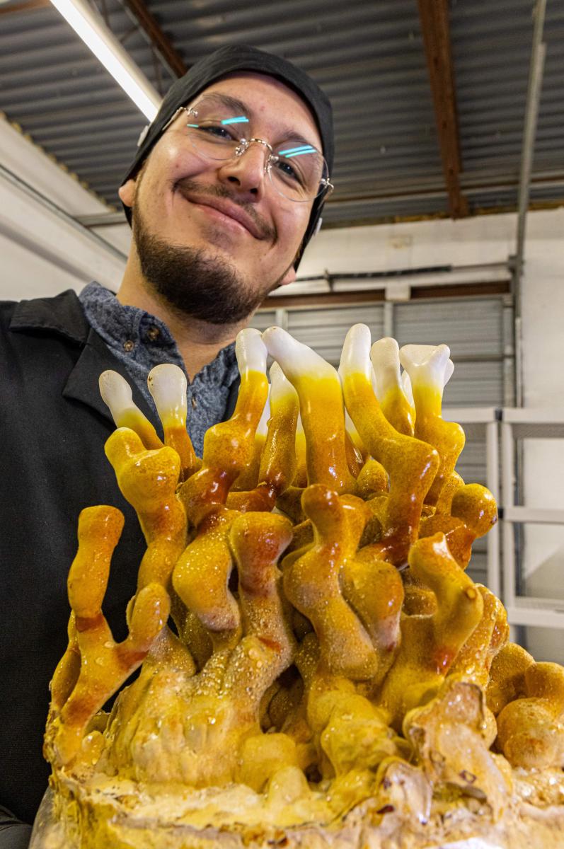 Estevan Hernandez User Profile