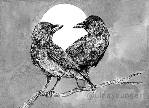 Two Crows 5" x 7" Print picture