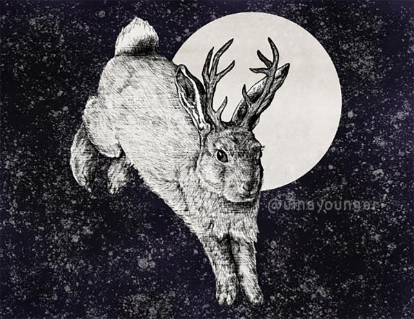 Jackalope Print 4.25" x 5.5" picture