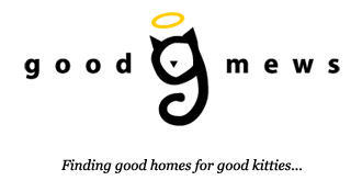 Good Mews Animal Foundation