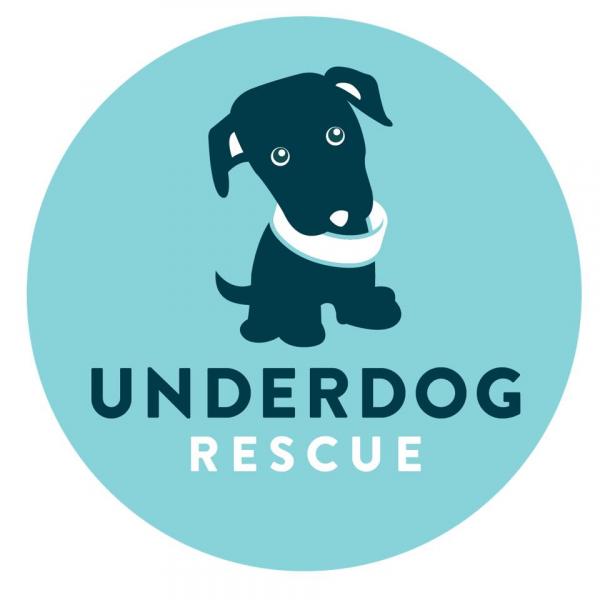 Underdog Rescue MN