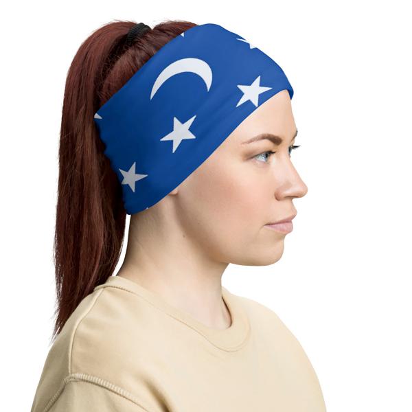 Apprentice Neck Buff picture