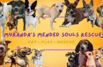 Myranda's Mended Souls Rescue