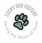 Lucky Dog Fosters