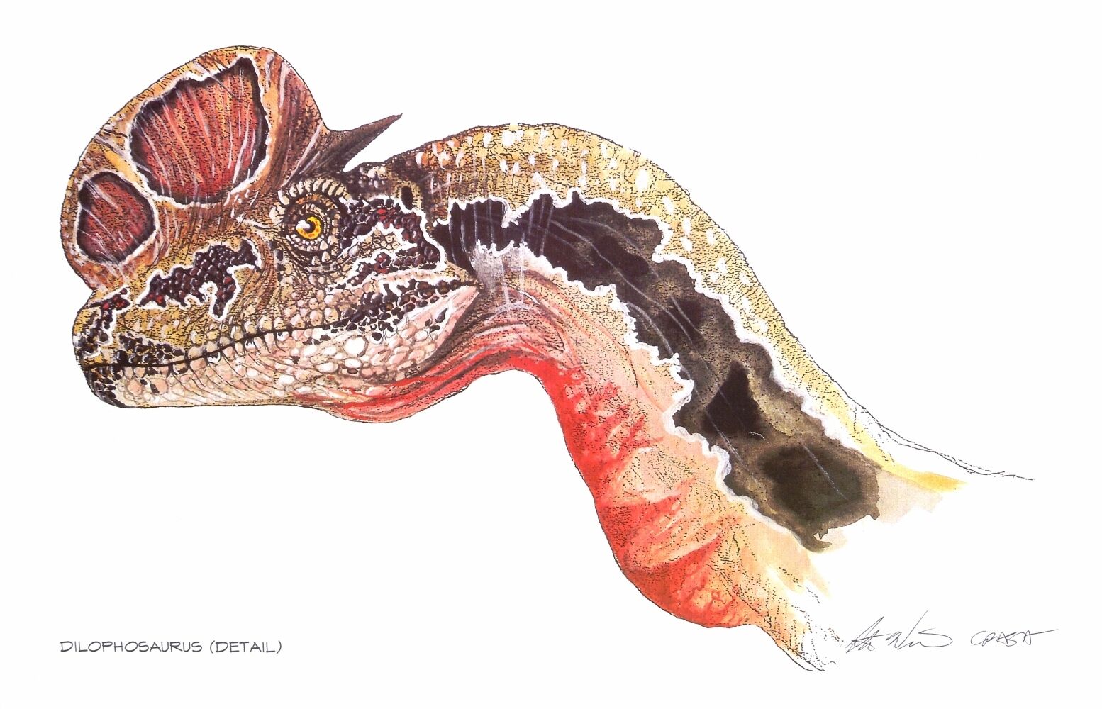 Limited Edition Jurassic Park Art Prints (You Pick) picture