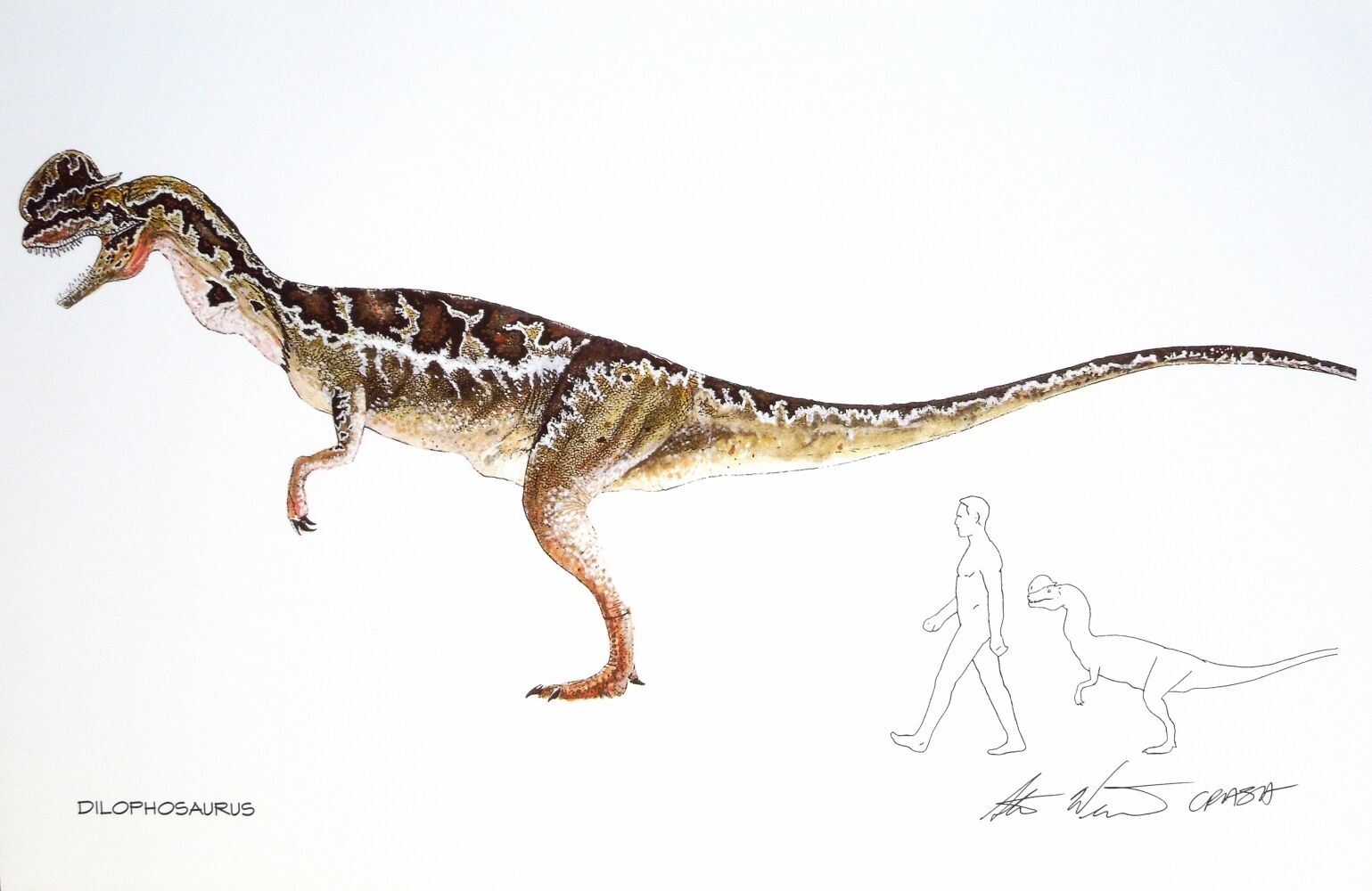 Limited Edition Jurassic Park Art Prints (You Pick) picture