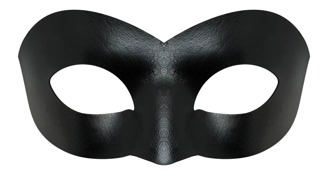 Cat Noir Hero Mask picture