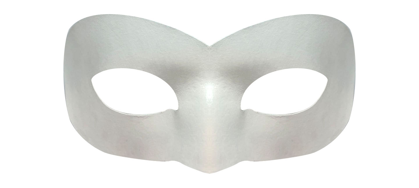 Cat Noir Hero Mask picture