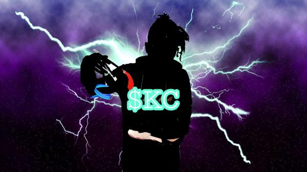 $plashcam Customs