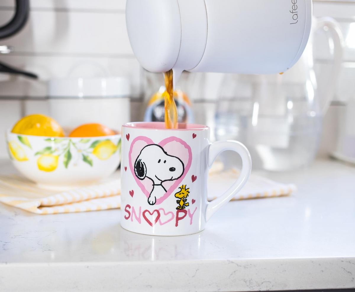 Peanuts Snoopy Woodstock Hearts 14 Ounce Mug picture