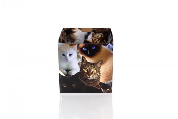 Cats 7.75 x 7.75 x 7.7 Inch Flat Empty Gift Box picture