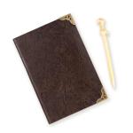 Harry Potter Tom Riddle Journal w/ Voldemort Wand Pen