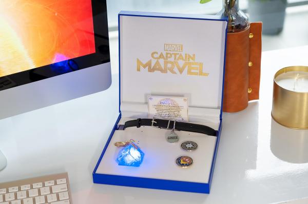 Captain Marvel Goose Collar | Tesseract Keychain | Pins picture