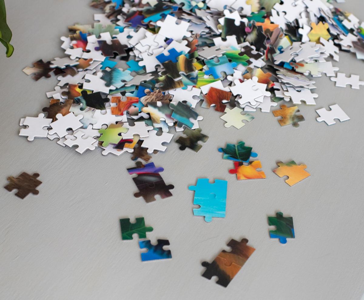 Howard Robinson Wild Beach Party 500 Piece 3D Jigsaw Puzzle picture