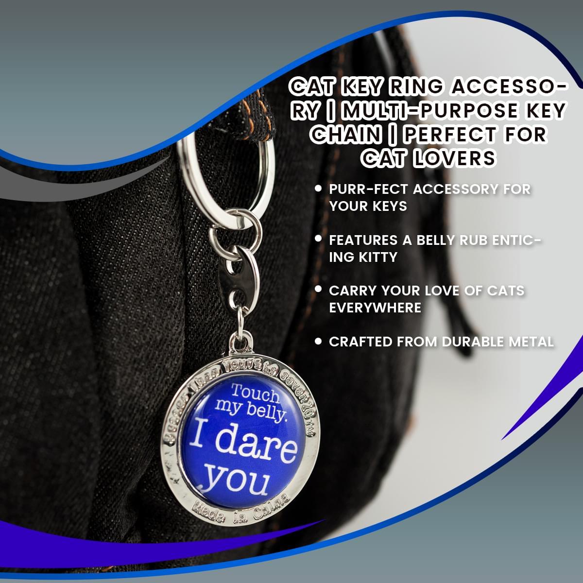 Touch My Belly, I Dare You Cat Keychain picture