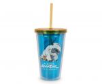 Avatar Last Airbender Aang & Appa Carnival Cup