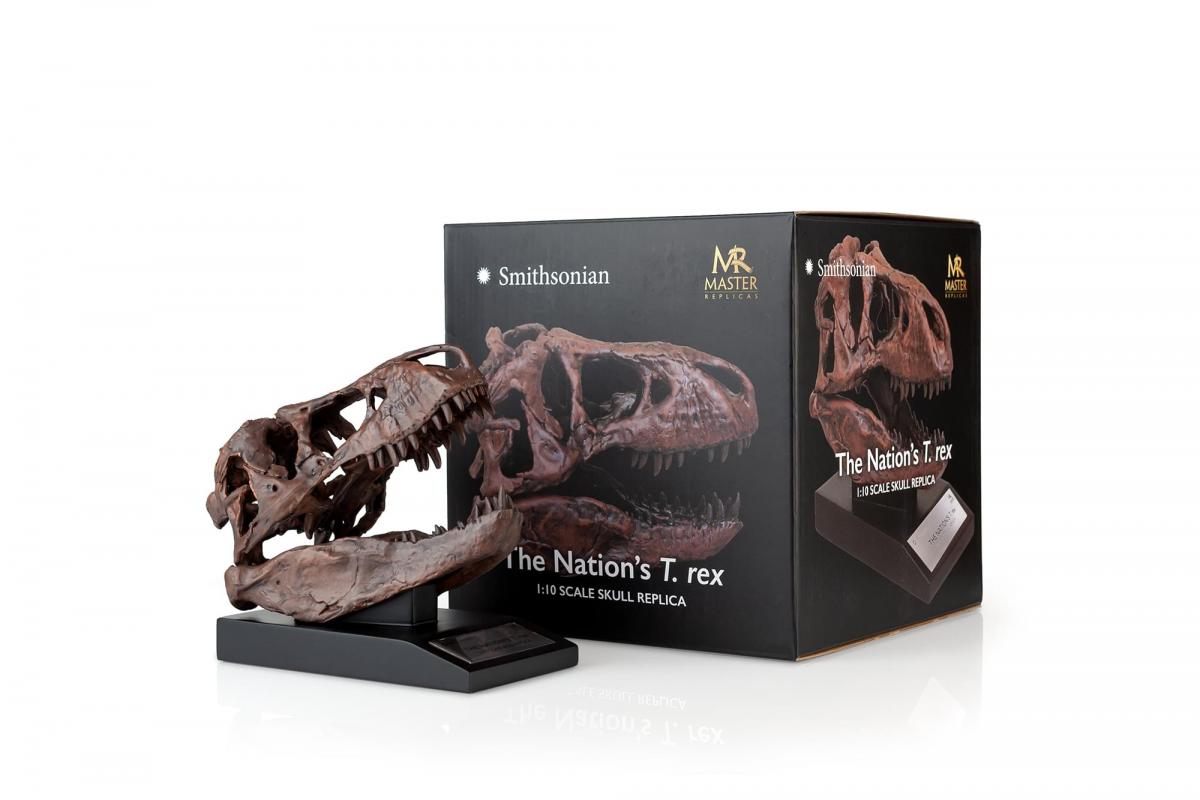 The Nation's T-Rex Skull Statue | 6-Inch Smithsonian Fossil Replica| 1:10 Scale picture