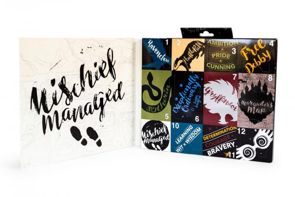 Harry Potter 12 Days of Socks Gift Set - 4 Crew | 8 Ankle picture