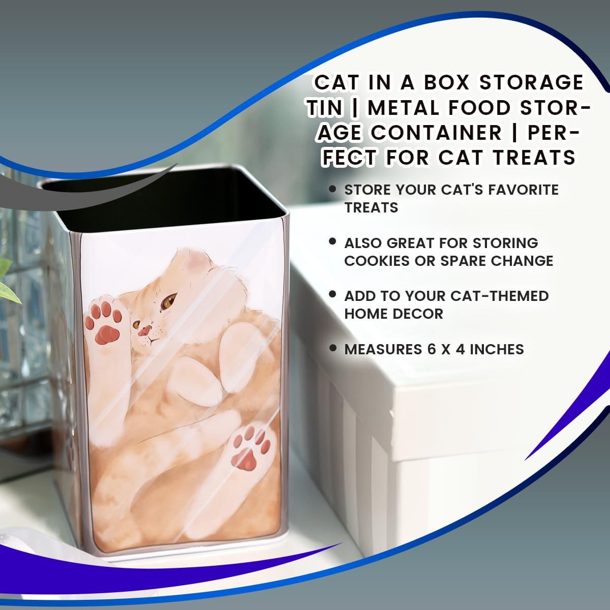 Cat in a Box 6 x 4 Inch Storage Tin w/ Lid picture