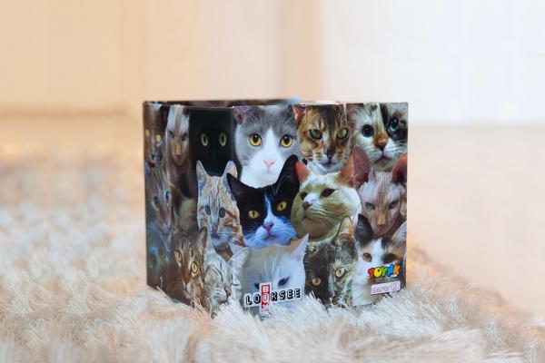 Cats 7.75 x 7.75 x 7.7 Inch Flat Empty Gift Box picture