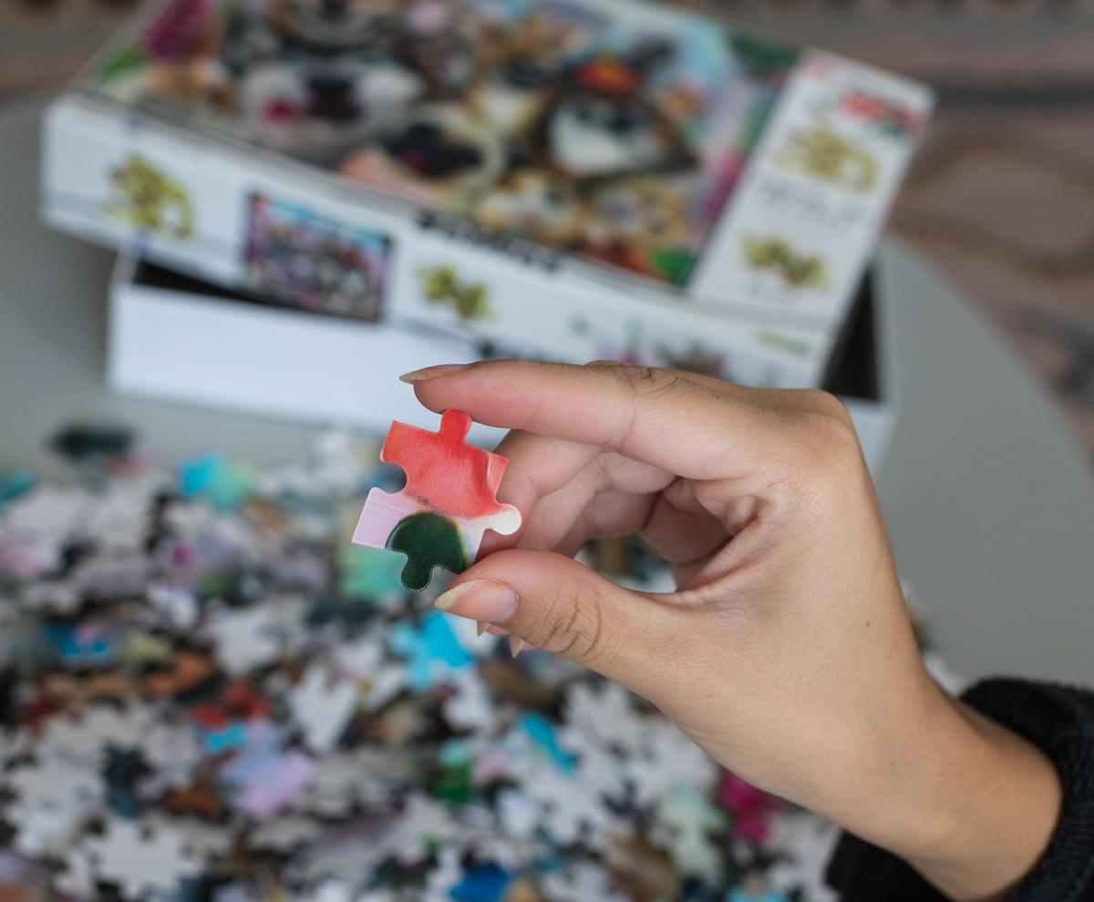 Howard Robinson Pet Selfie 500 Piece 3D Jigsaw Puzzle picture