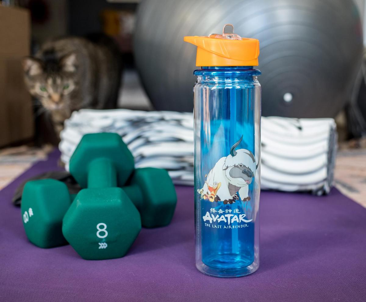 Avatar Last Airbender Aang & Appa Water Bottle picture