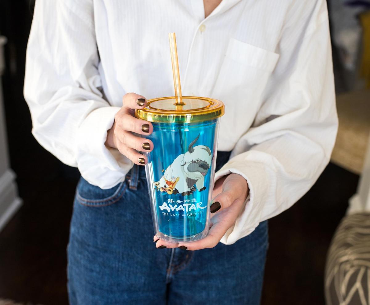 Avatar Last Airbender Aang & Appa Carnival Cup picture