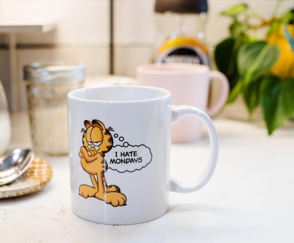 Garfield I Hate Mondays 11 Ounce Ceramic Mug picture