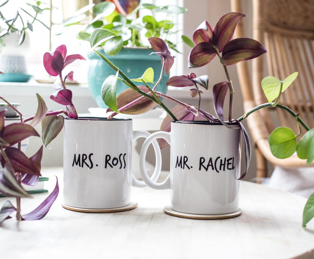 Friends Mr. Rachel & Mrs. Ross Mug Set picture