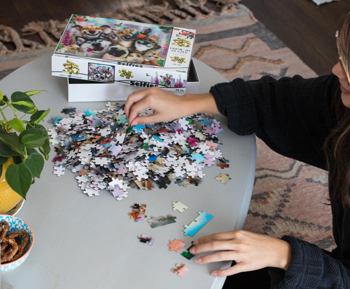 Howard Robinson Pet Selfie 500 Piece 3D Jigsaw Puzzle picture